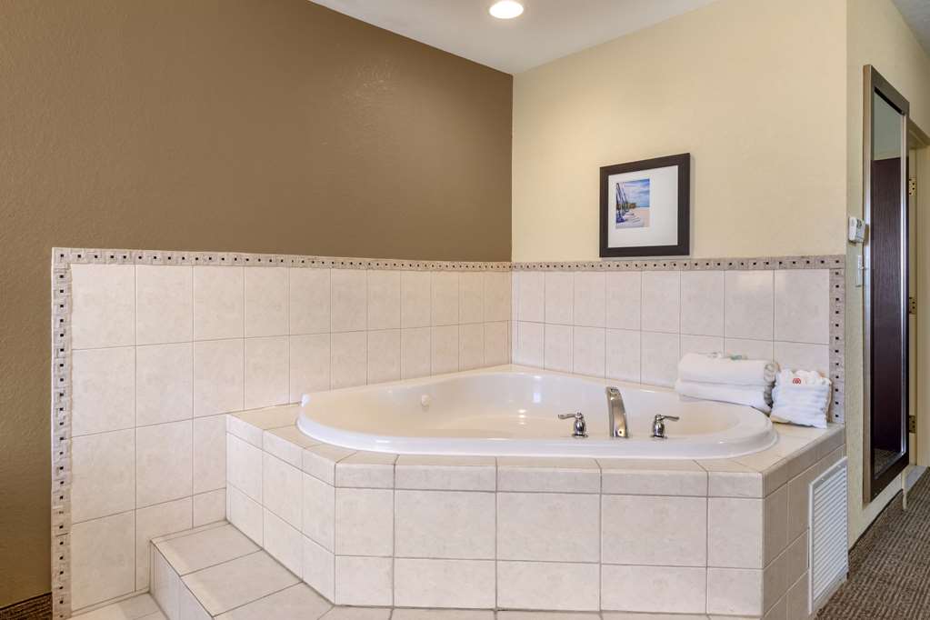 Comfort Inn & Suites Northeast Gateway - photo 18
