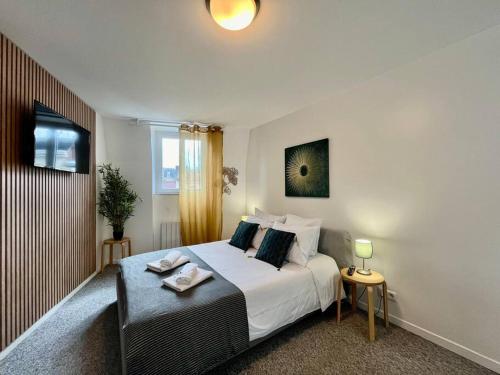 Studio 5 Rue Theodore Bac Dabnb in Limoges, France