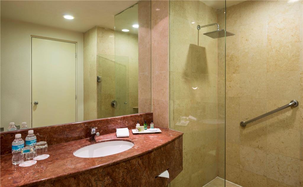 Deluxe room bathroom