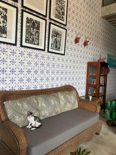 Hotel Pousada Casuarinas — Recife — photo 2