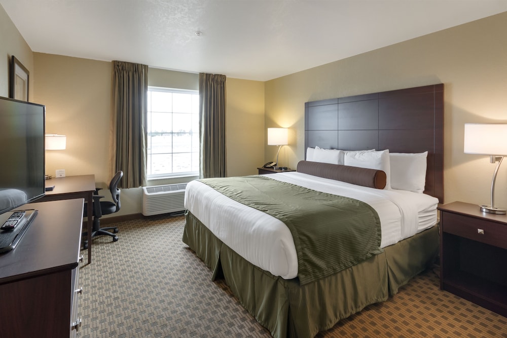 Cobblestone Hotel & Suites Pecos - photo 6
