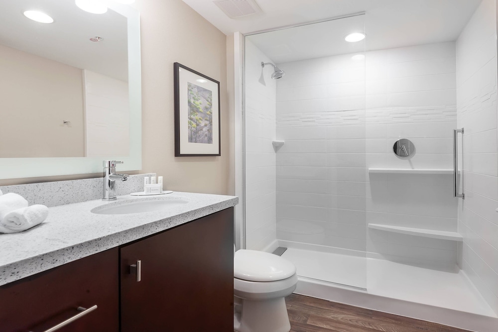 TownePlace Suites by Marriott Austin Parmer Tech Ridge - photo 21