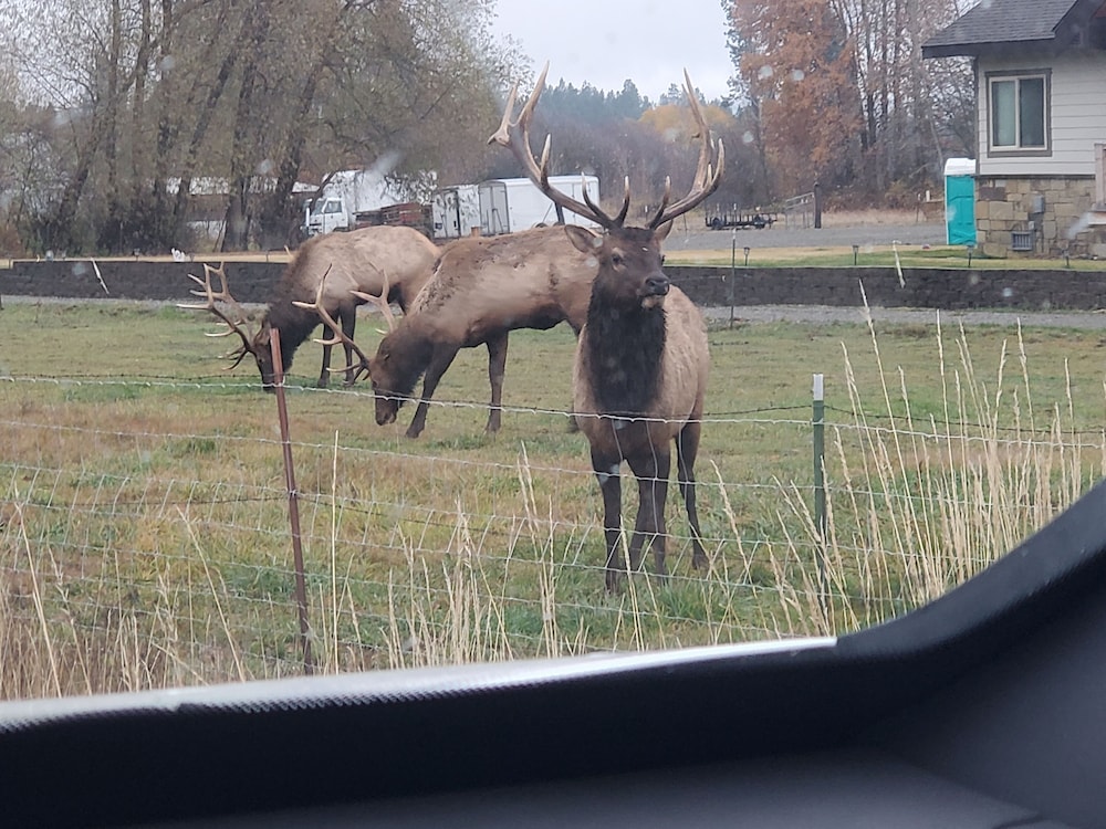 Cle Elum Travelers Inn - photo 28