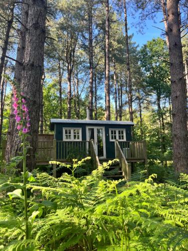 King Nutkin Shepherds Hut — hotel in Grimston