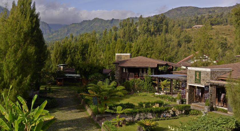 Jiwa Jawa Resort Bromo — Probolinggo — photo 2