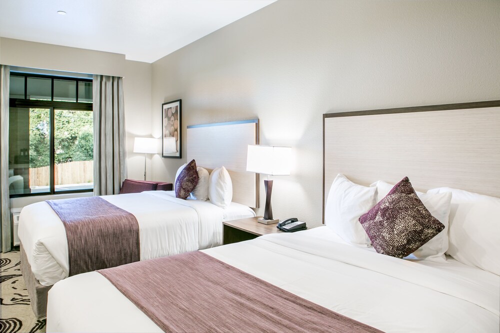 Hotel Siri Downtown Paso Robles - photo 17