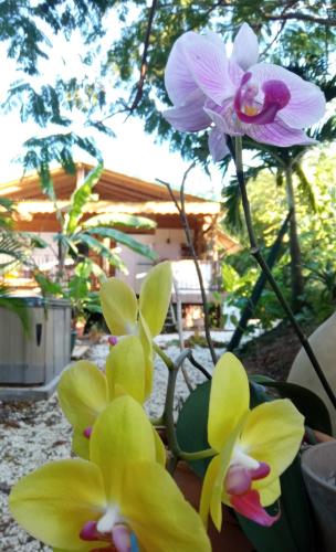 Ecolodge Laïloas in Unknown City, Guadeloupe