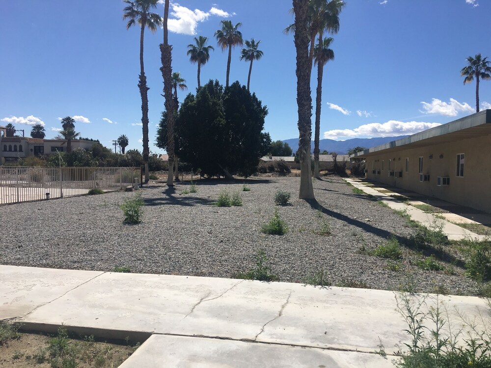Palm Shadow Inn - photo 11