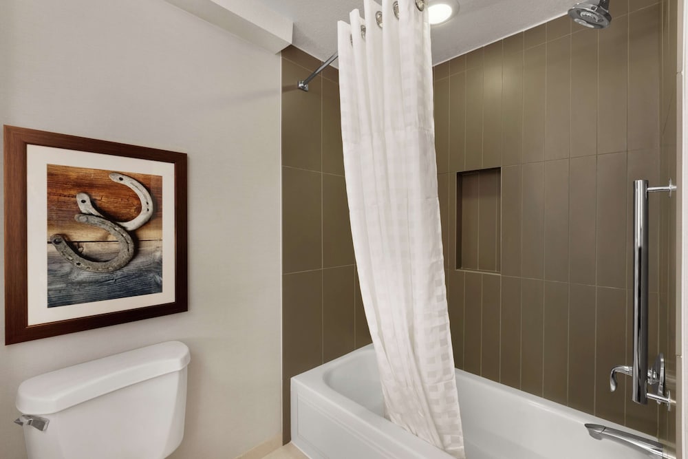 Embassy Suites by Hilton Dallas DFW Airport North - photo 39