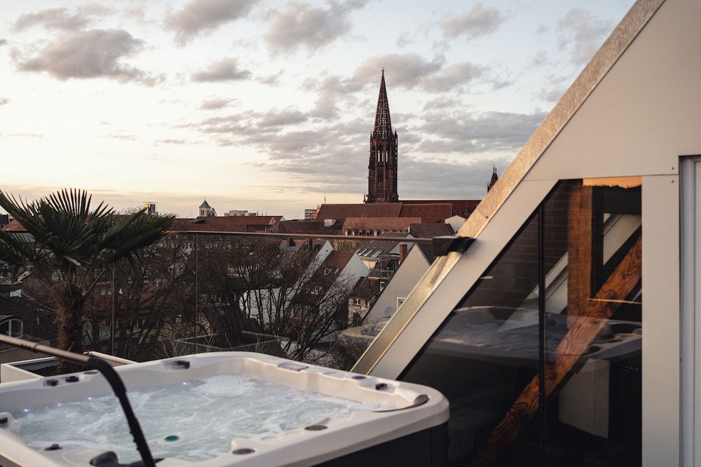 Historical Luxury Homes Exclusive Selection — Freiburg — photo 2