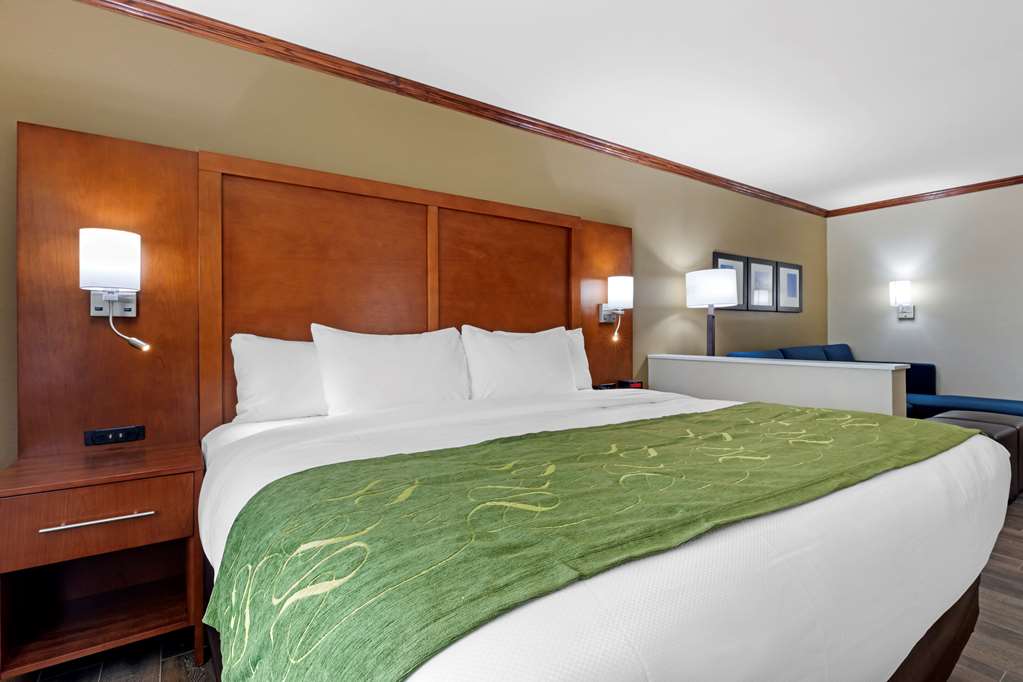 Comfort Suites West Monroe near Ike Hamilton Expo Center - photo 11