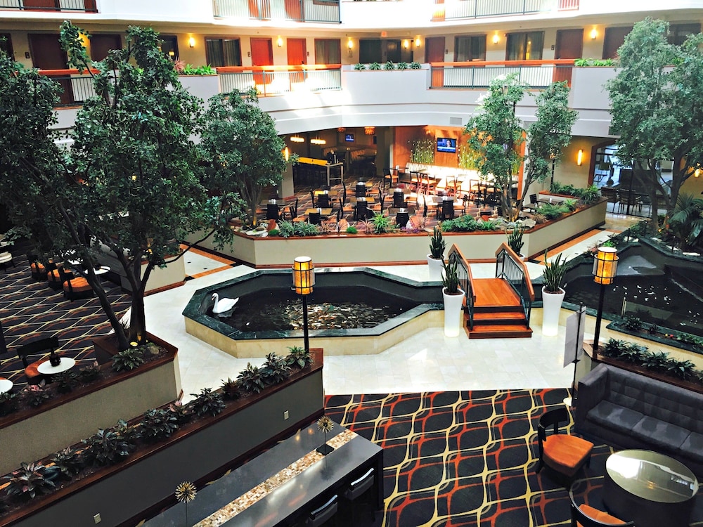 Embassy Suites by Hilton Dallas Near the Galleria - photo 10