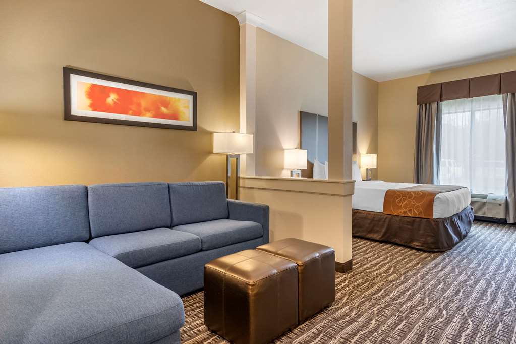 Comfort Suites Near Sam Houston Race Park - photo 4