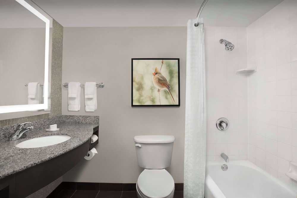 Hilton Garden Inn Hoffman Estates - photo 18