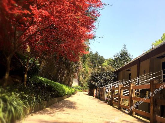 Qingfeng Gorge Resort Hotel - last minute hotel in Chongqing