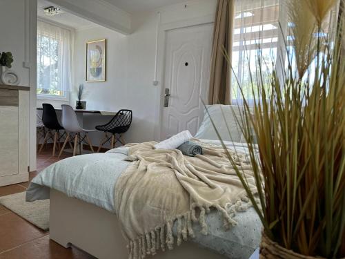 Thermal Garden Vendégház in Tiszakecske, Hungary