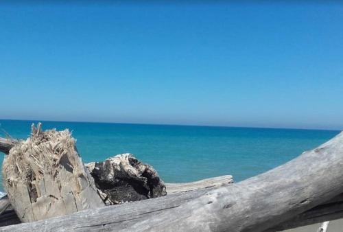 Casina al mare — 4-Star Luxury Hotel in Cecina, Italy