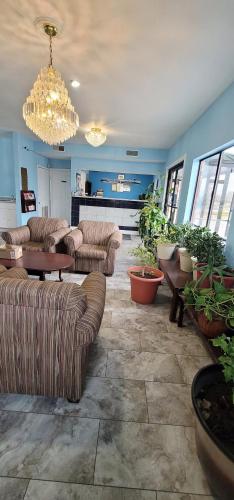 M Star Hotel Hayti - photo 18