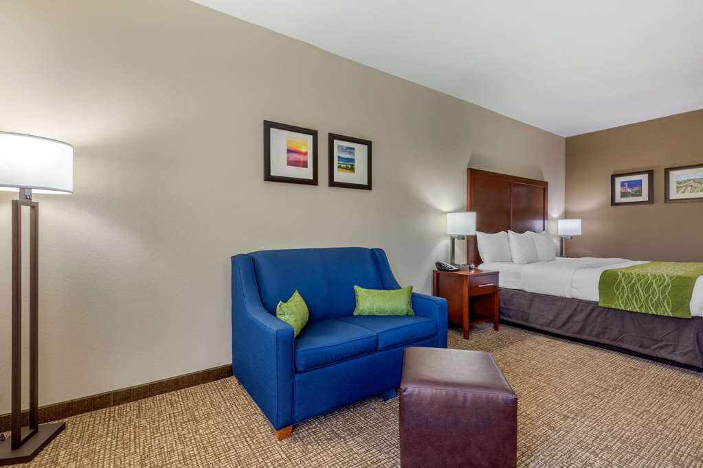 Comfort Inn Lenoir City Knoxville - photo 28