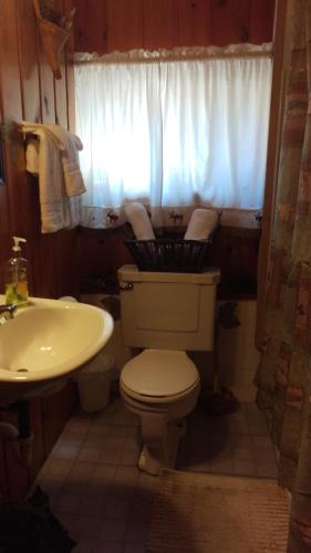 Alpine Motel - photo 32