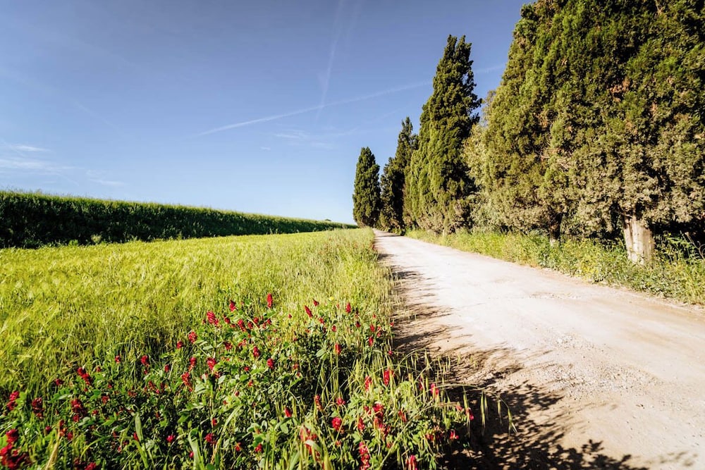 Agriturismo Bio San Mamiliano — 4-Star Luxury Hotel in Grosseto, Italy
