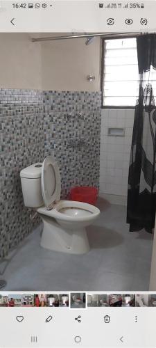LuLu’s Abode — Chennai — photo 5