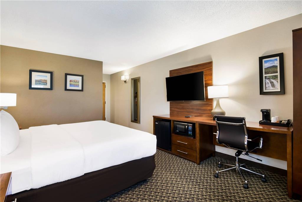 Comfort Inn Lexington Virginia Horse Center - photo 15