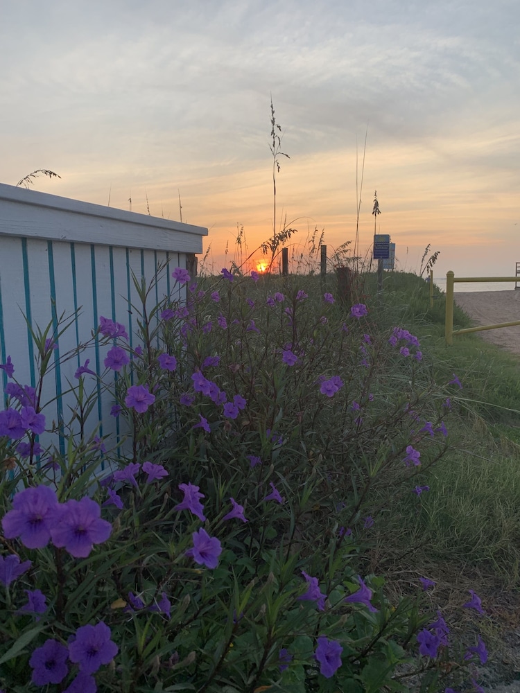 The Saint Augustine Beach House - photo 40