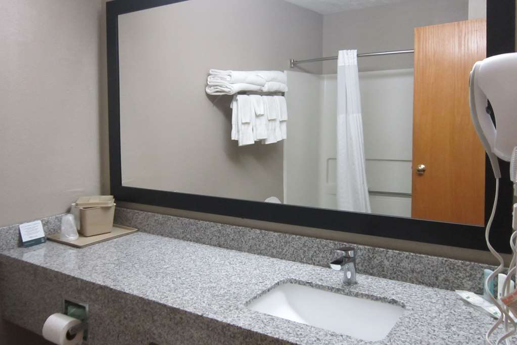 Quality Inn Nashville Bloomington - photo 27