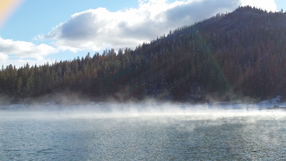 The Pines Resort - photo 145