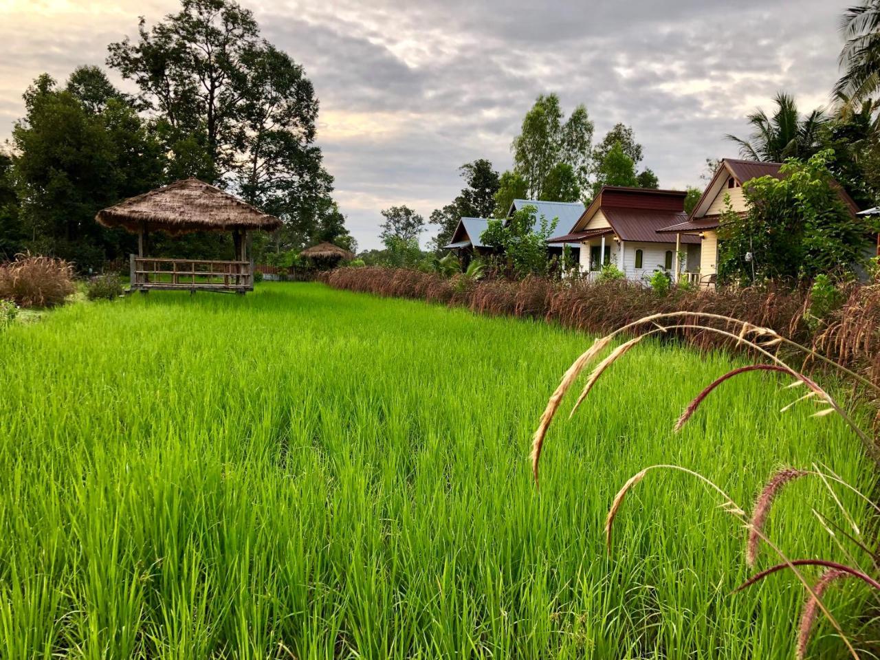 Baan Thung Home Stay 15182272 — Prasat