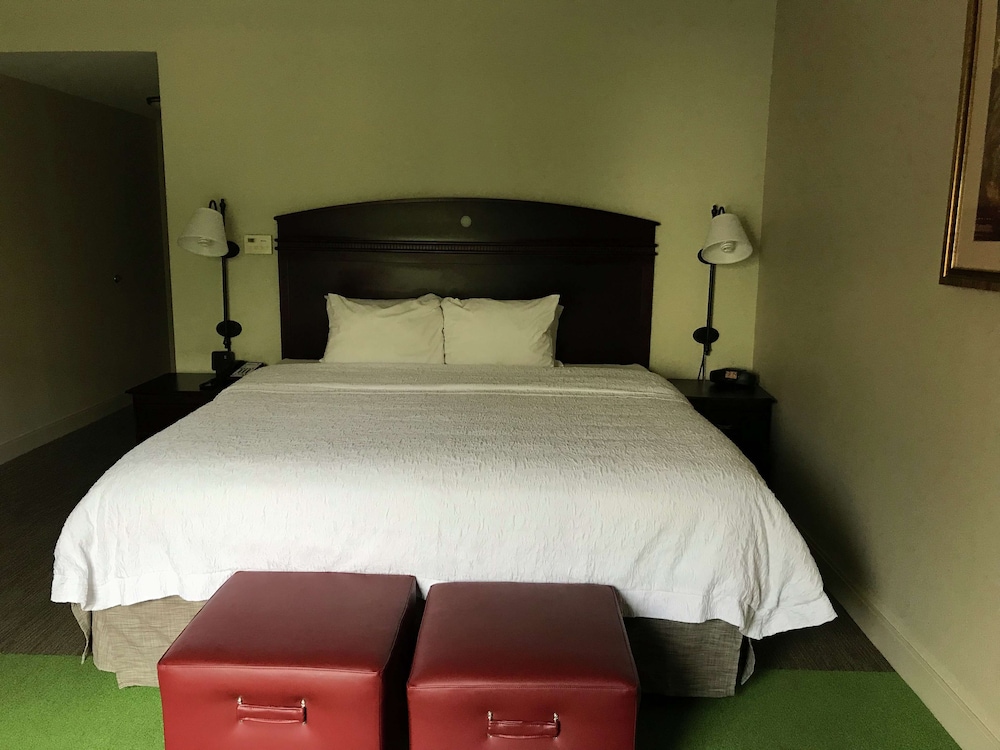 Hampton Inn Vidalia - photo 13