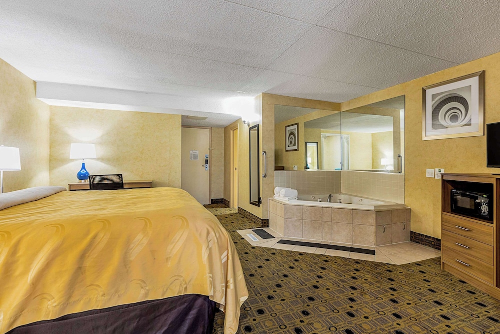 Quality Inn & Suites Coldwater near I 69 - photo 42