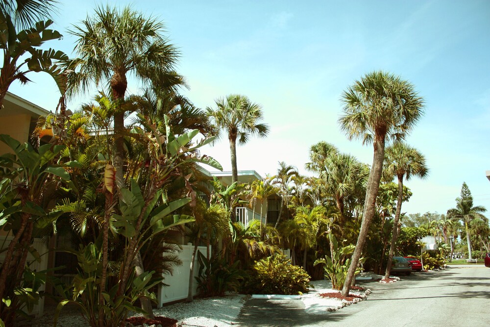 Coquina On The Beach - photo 12