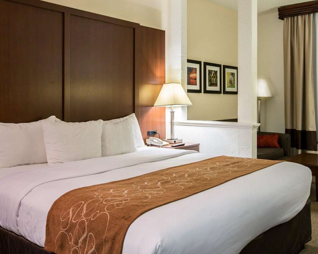 Comfort Suites Cumming Atlanta near Northside Hospital Forsyth - photo 15