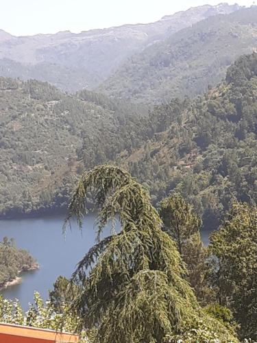 Os Girassóis da Carla in Braga, Portugal