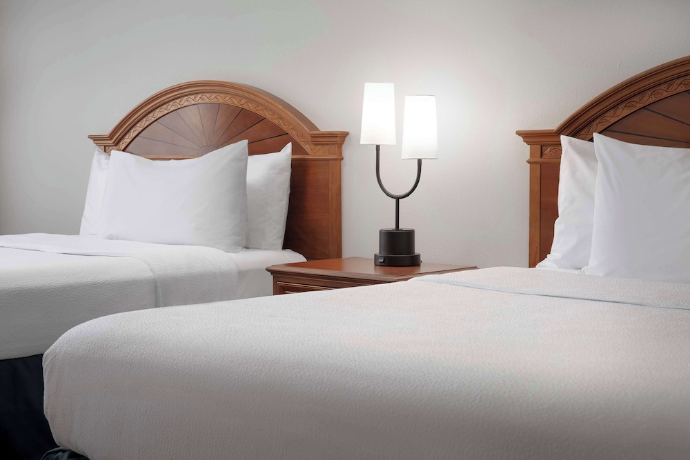 Hilton Garden Inn Gainesville - photo 8
