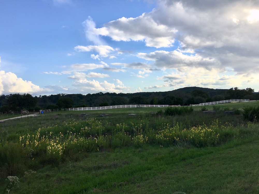 The Alexander at Creek Road - photo 306