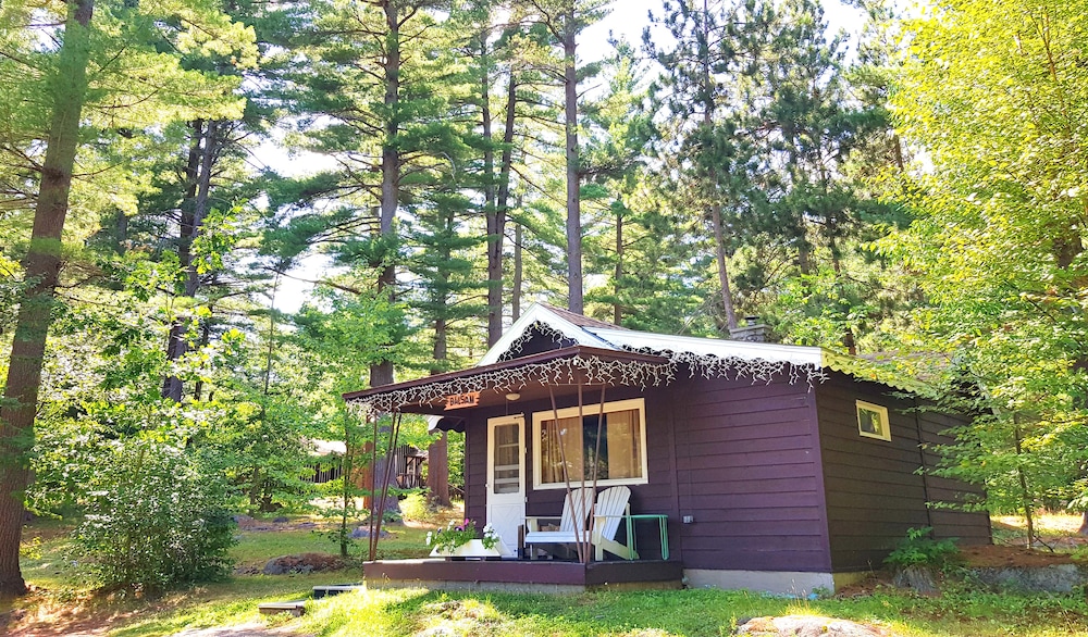 The Wilderness Inn - photo 58