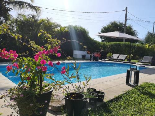Appartement Artistique de Boucan Canot — 4-Star Luxury Hotel in Saint-Paul, Réunion