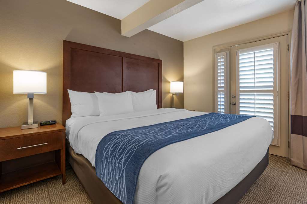 Comfort Inn & Suites Ukiah Mendocino County - photo 29