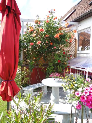 Vakantiehuis Ooglee — Hooglede
