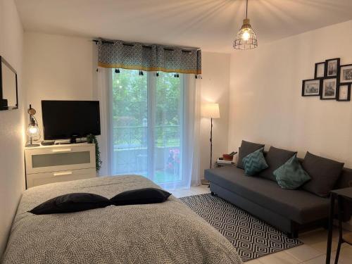 Studio Cosy Avec Parking Privatif in Montrejeau, France