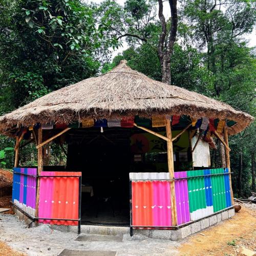 Skyfall Adventures Forest Pool Resort - carbon neutral hotel in Kalpatta