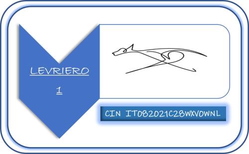 Levriero1 — Carini — photo 3