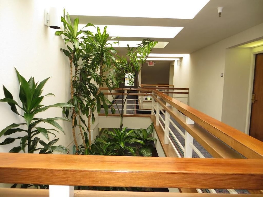 Monarch Resort - photo 25