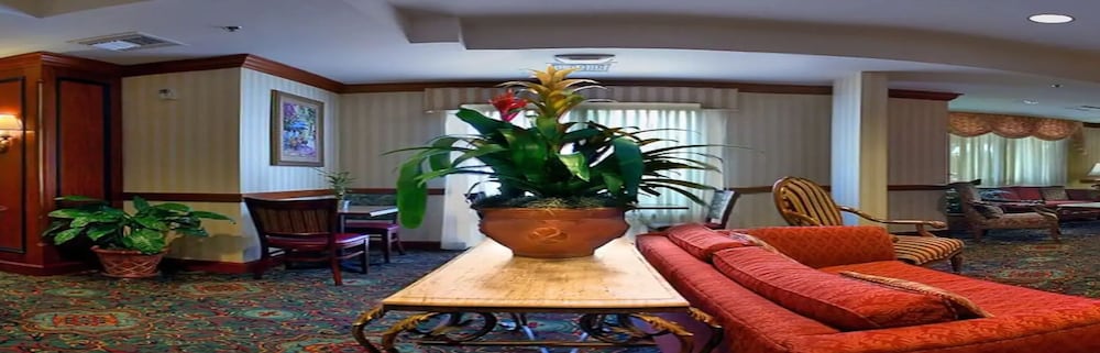 SpringHill Suites by Marriott Tampa Westshore Airport - photo 30