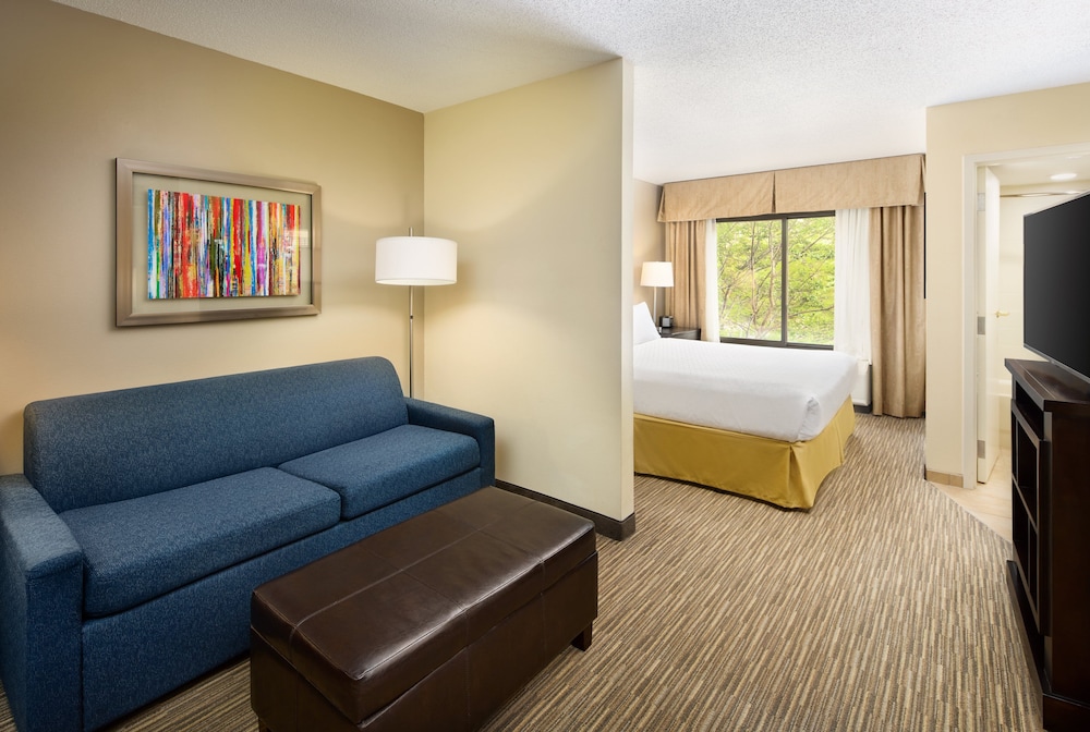 Holiday Inn Express & Suites Alpharetta Windward Parkway by IHG - photo 24