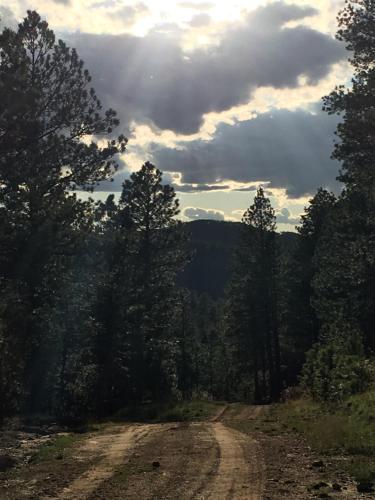 Priceless Black Hills View - photo 26