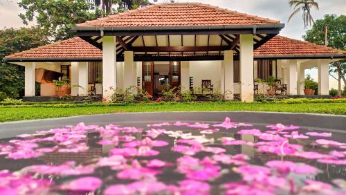 Aroma Woods - last minute hotel in Hikkaduwa